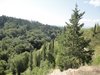 Abbazia di Monte Oliveto Maggiore