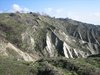 Paesaggio nella zona di Dozza